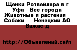 Щенки Ротвейлера в г.Уфа - Все города Животные и растения » Собаки   . Ненецкий АО,Вижас д.